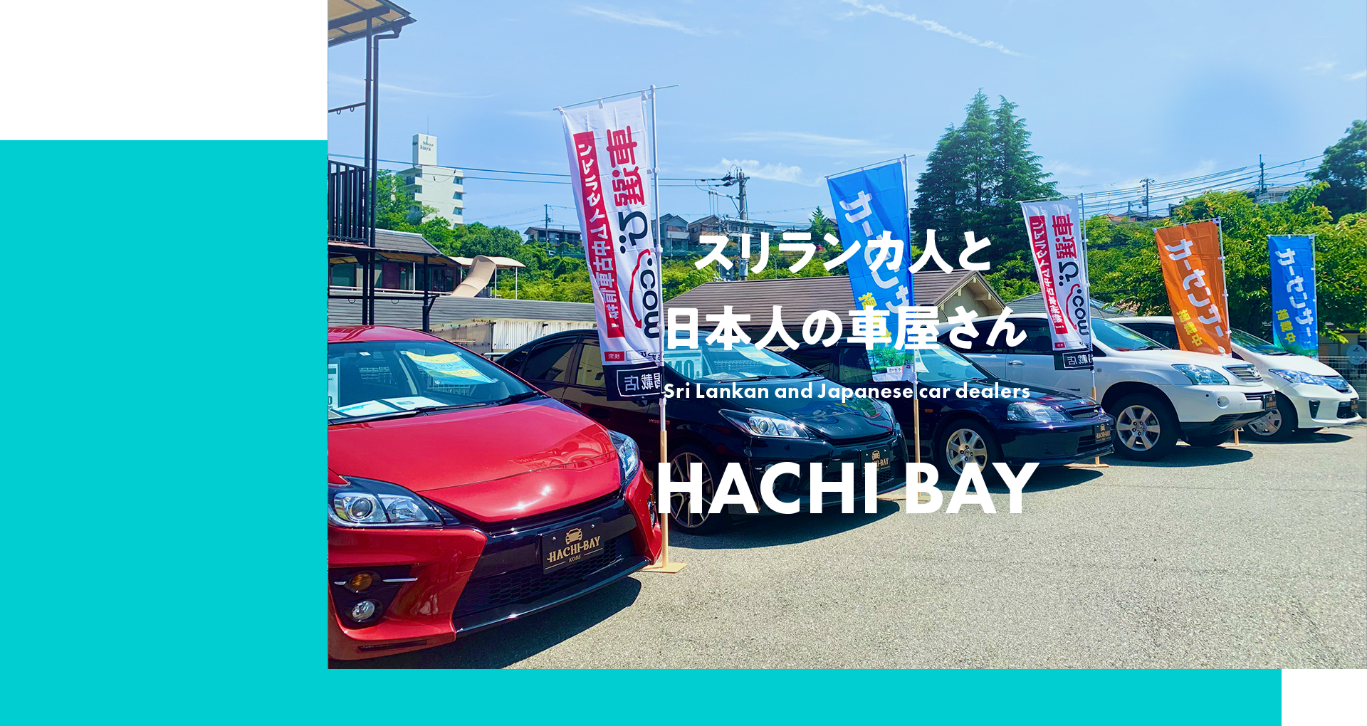 HACHI BAY株式会社