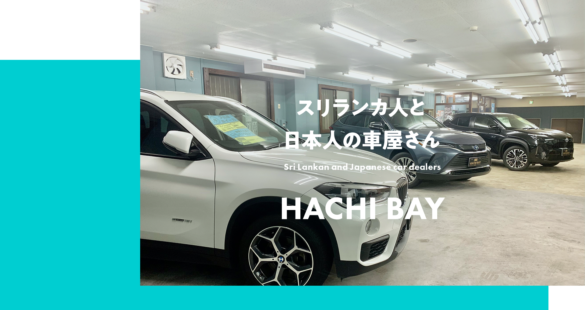 HACHI BAY株式会社