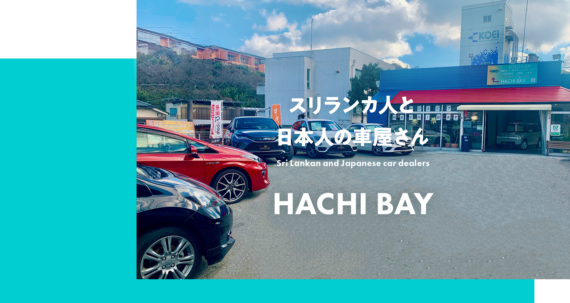 HACHI BAY株式会社